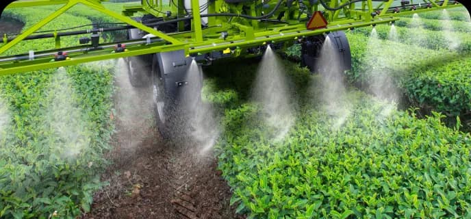 Affichage de la coupre de section