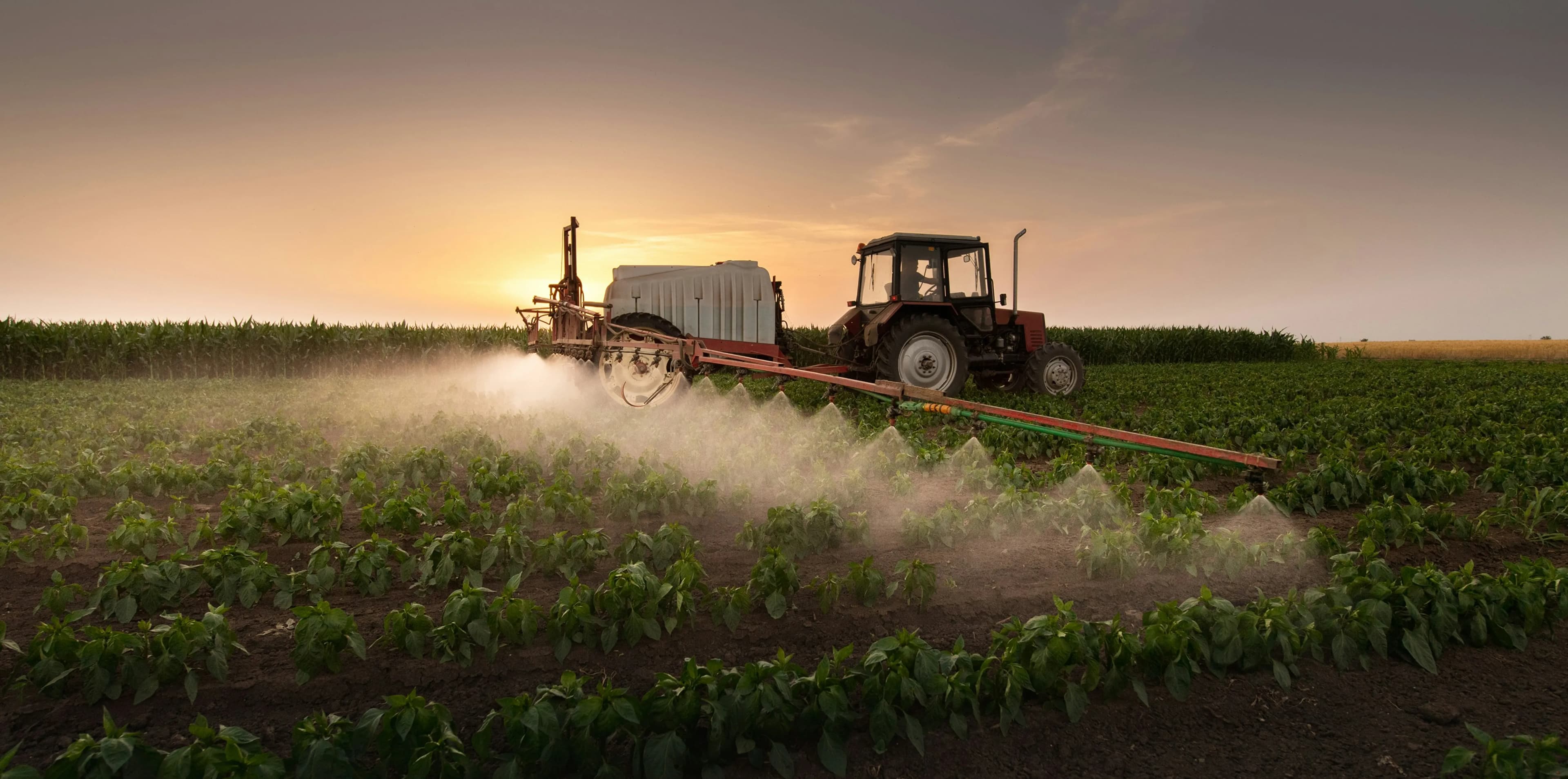 Country section cover